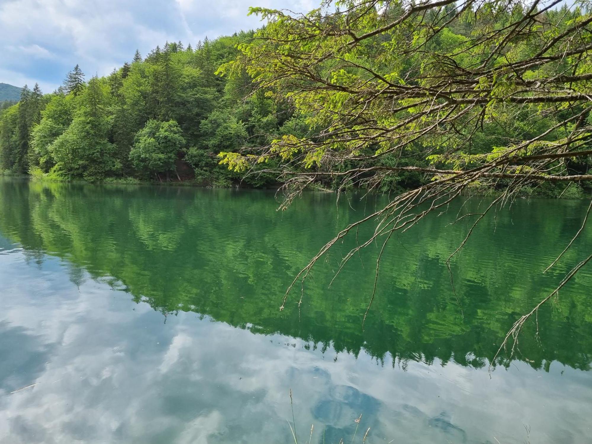 Villa Lady Di Plitvice Vrhovine Экстерьер фото