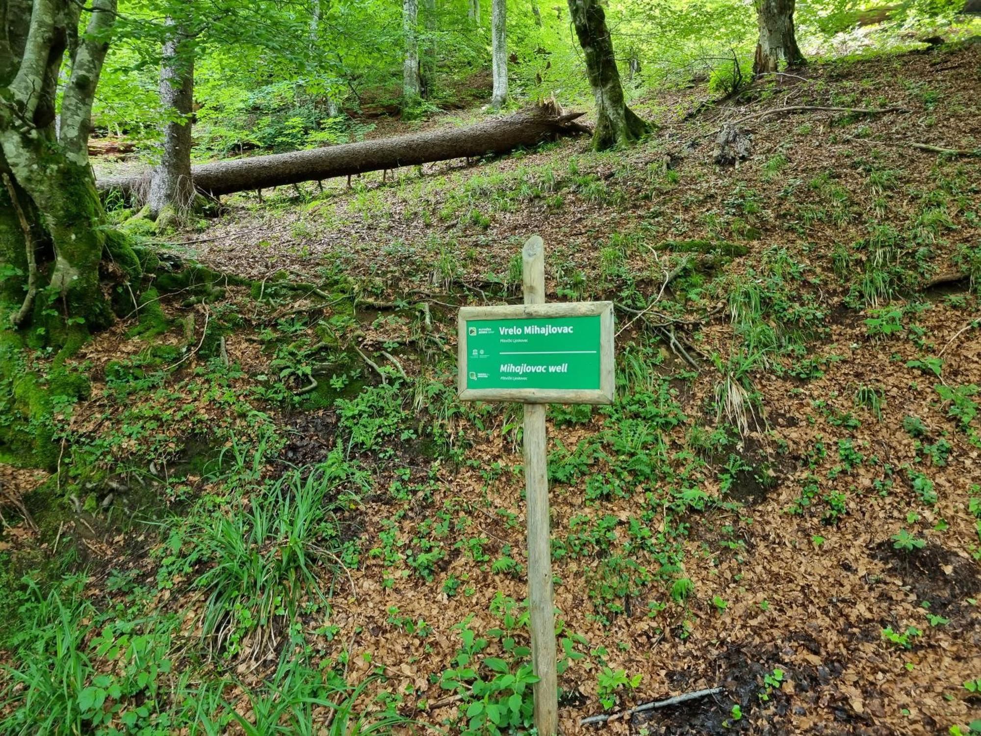 Villa Lady Di Plitvice Vrhovine Экстерьер фото